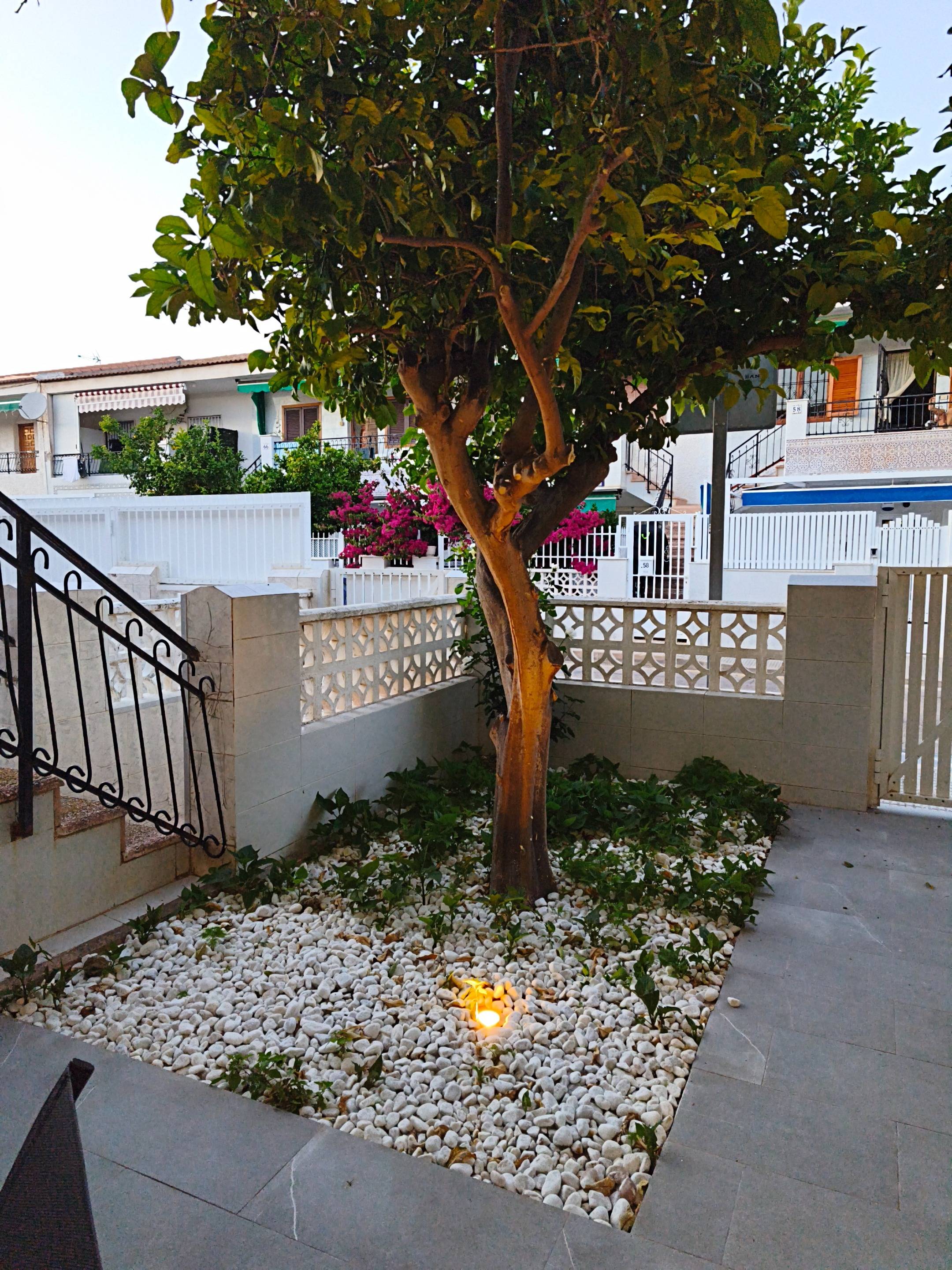 Property 23