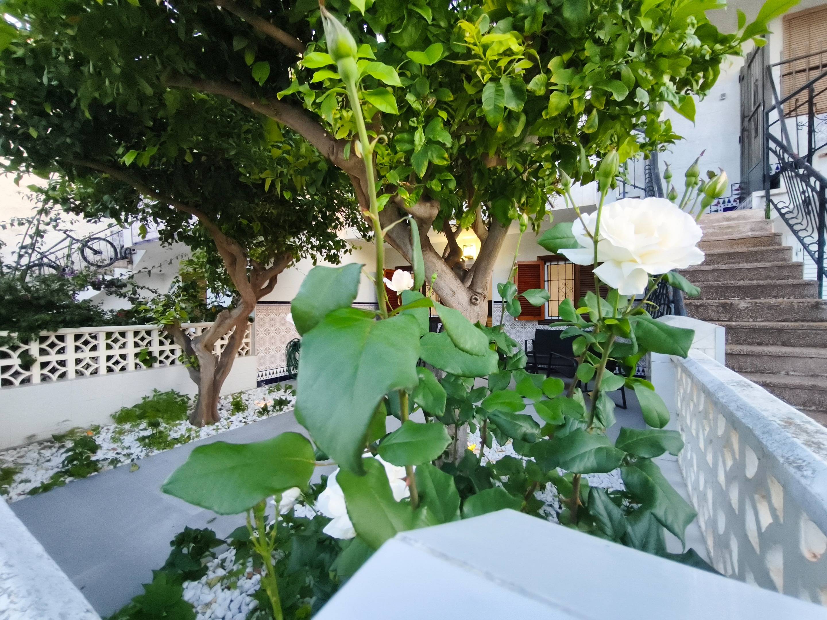Property 35