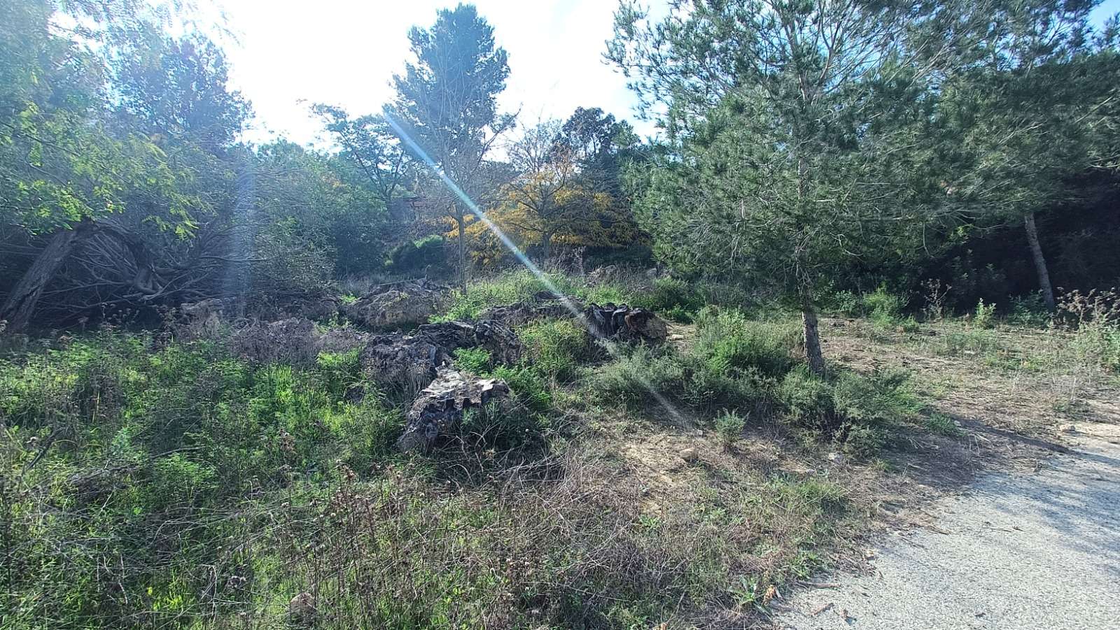 Finca for sale in Gea Y Truyols, Murcia, Spain