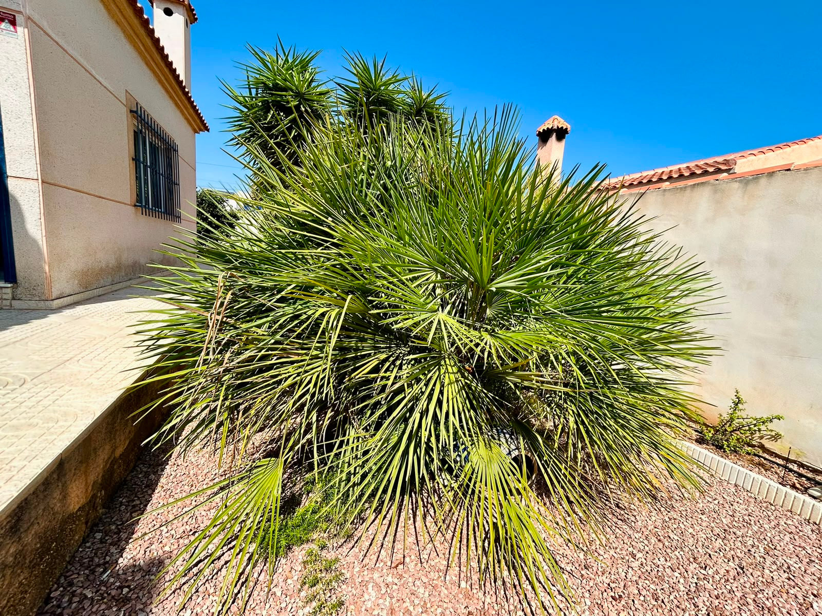Villa en venta en Torrevieja