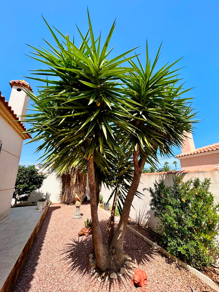 Villa en venta en Torrevieja