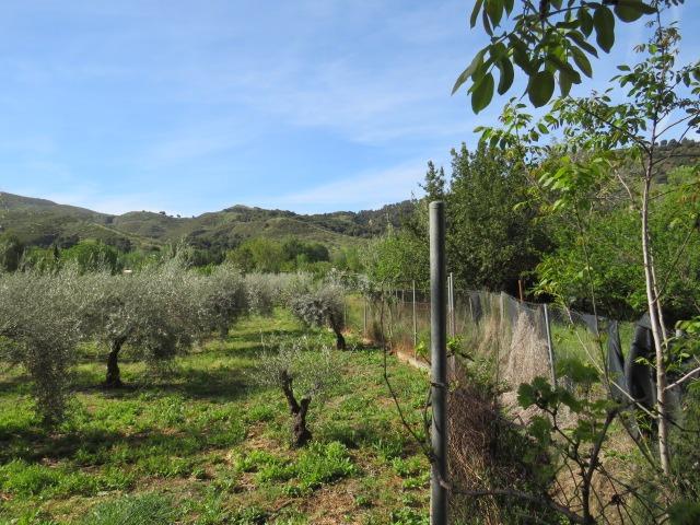 Finca for sale in Cenes De La Vega, Granada, Spain