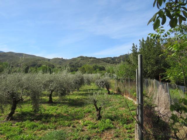Finca for sale in Cenes De La Vega, Granada, Spain