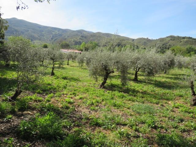 Finca for sale in Cenes De La Vega, Granada, Spain