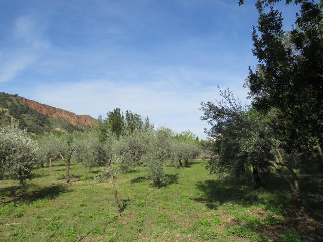 Finca for sale in Cenes De La Vega, Granada, Spain