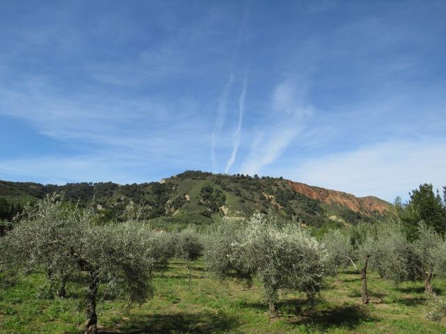 Finca for sale in Cenes De La Vega, Granada, Spain
