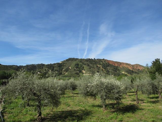 Finca for sale in Cenes De La Vega, Granada, Spain
