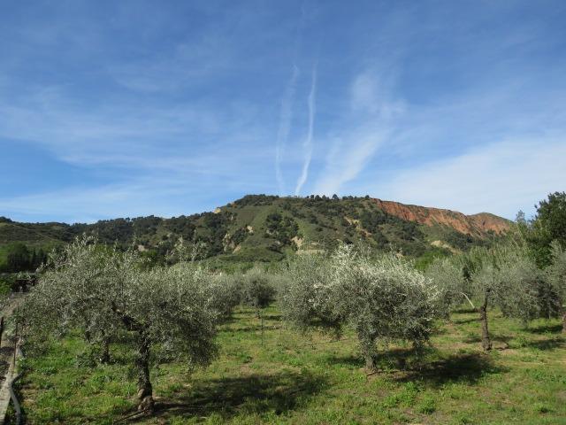 Finca for sale in Cenes De La Vega, Granada, Spain