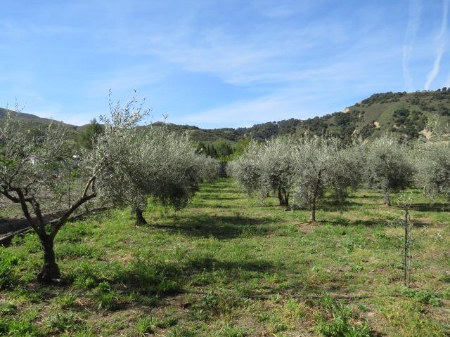 Finca for sale in Cenes De La Vega, Granada, Spain