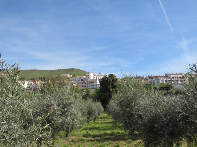 Finca for sale in Cenes De La Vega, Granada, Spain