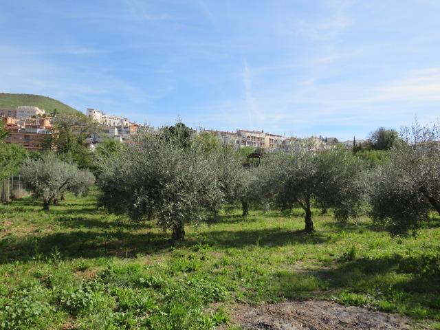 Finca for sale in Cenes De La Vega, Granada, Spain
