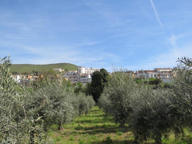 Finca for sale in Cenes De La Vega, Granada, Spain