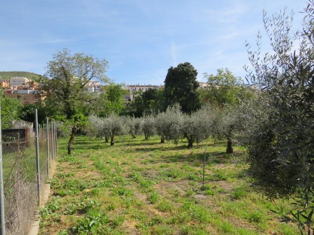 Finca for sale in Cenes De La Vega, Granada, Spain