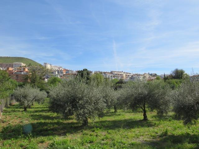 Finca for sale in Cenes De La Vega, Granada, Spain