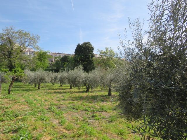 Finca for sale in Cenes De La Vega, Granada, Spain