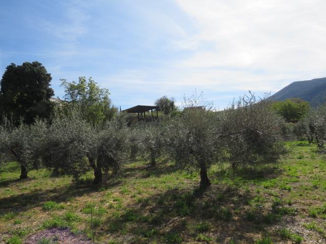 Finca for sale in Cenes De La Vega, Granada, Spain