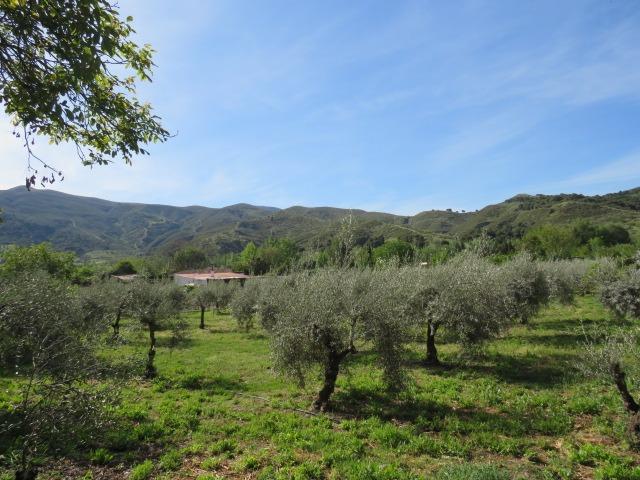 Finca for sale in Cenes De La Vega, Granada, Spain