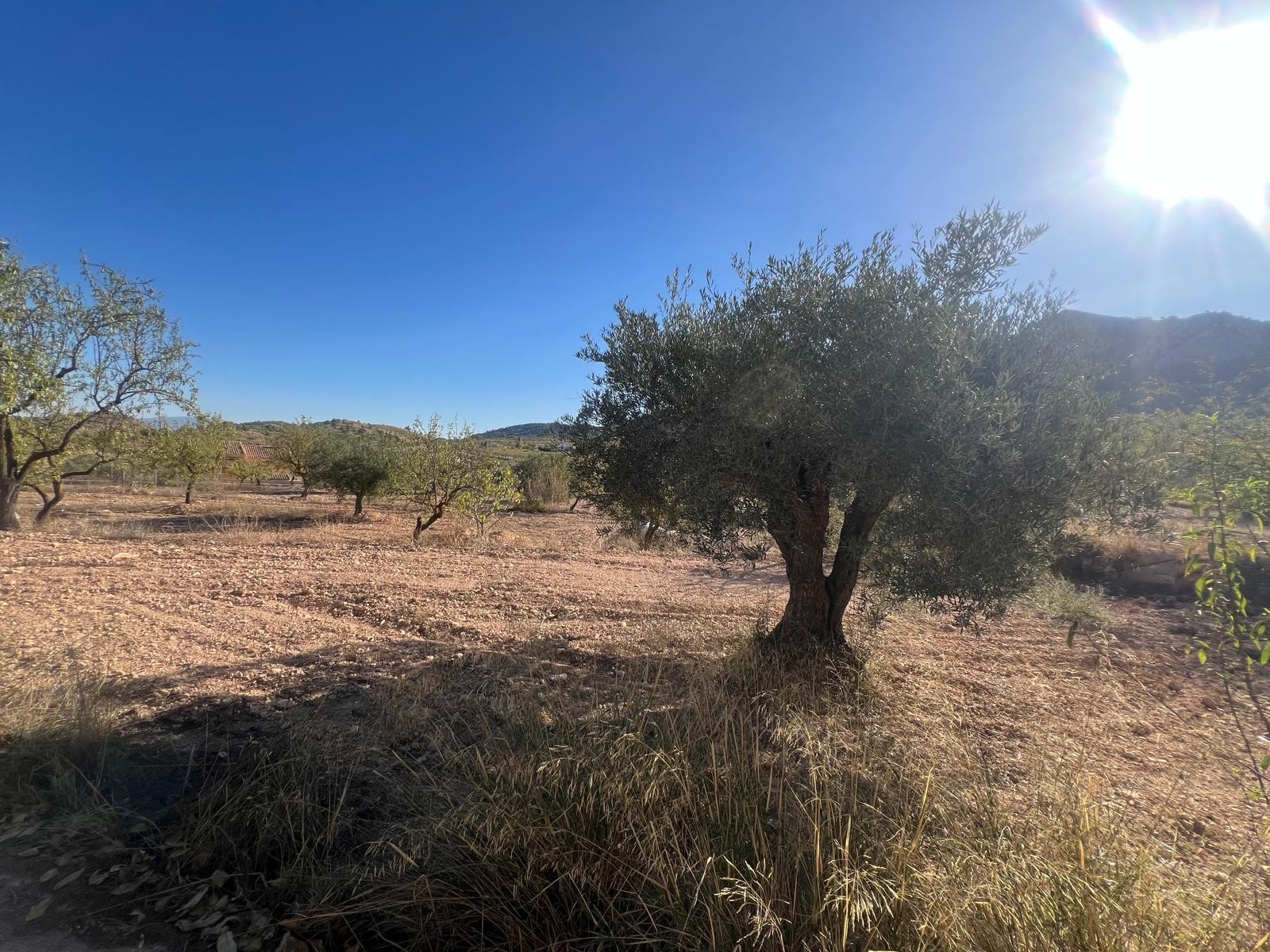 Town House en venta en La Zarza