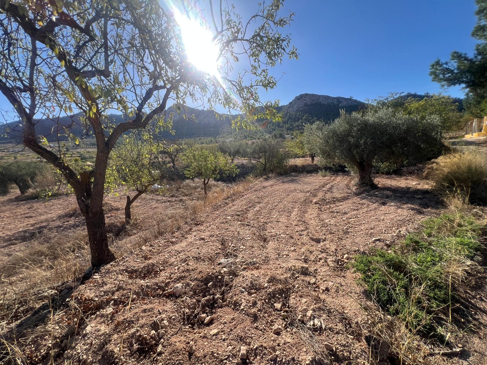 Town House en venta en La Zarza