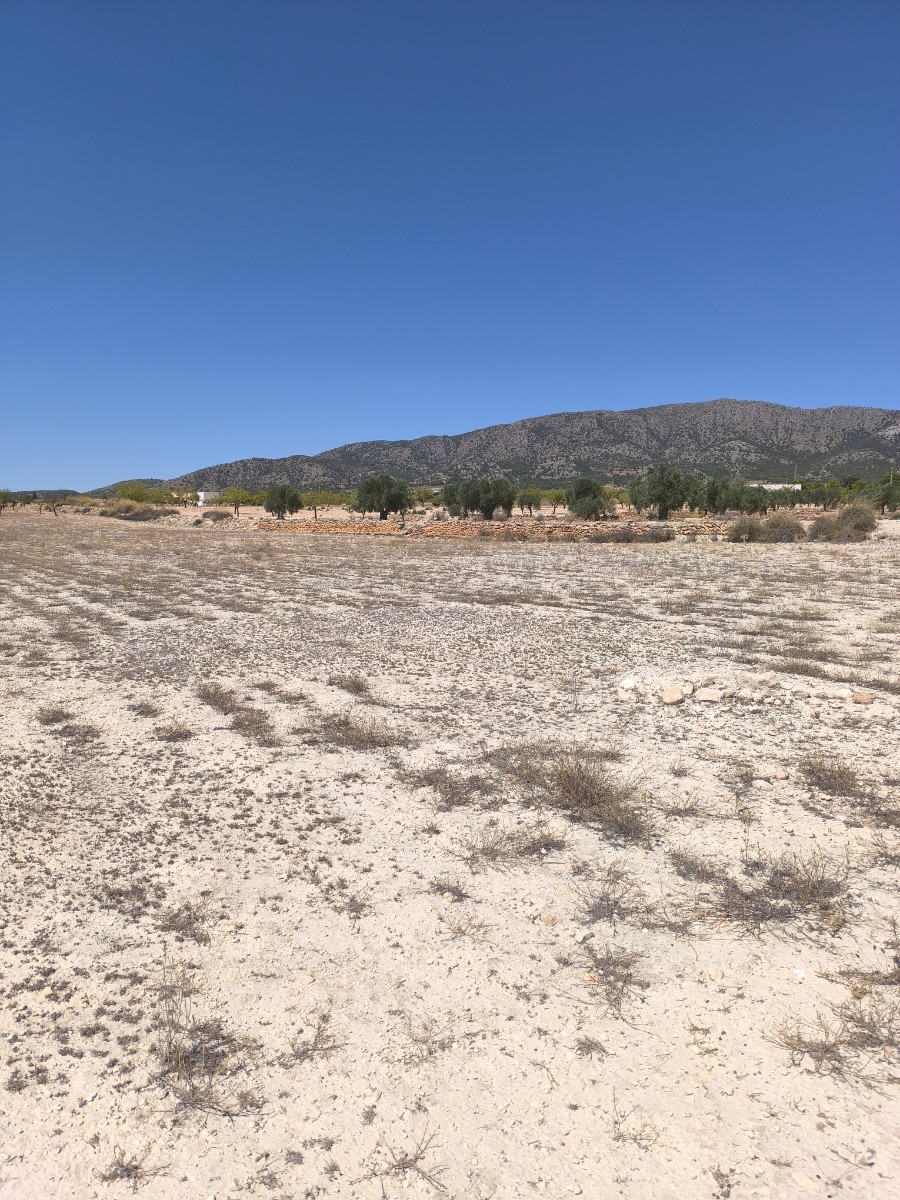 Finca en venta en Pinoso