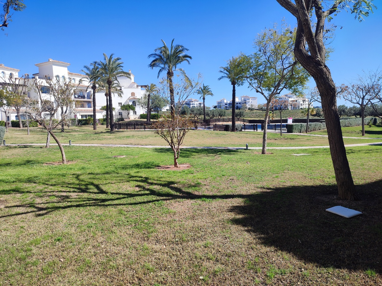 Piso en venta en Hacienda Riquelme Golf Resort
