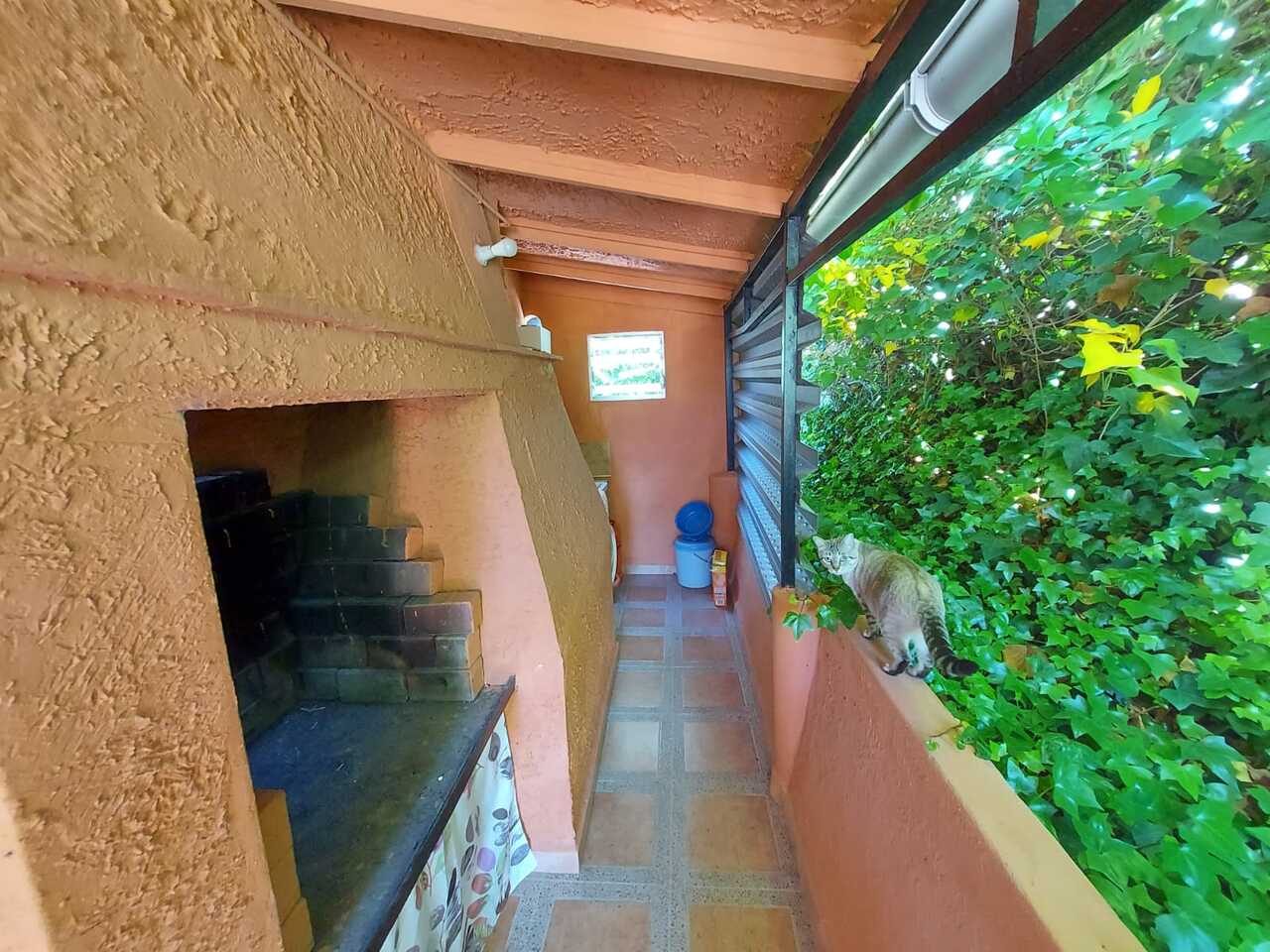 Commercial Property en venta en Calasparra