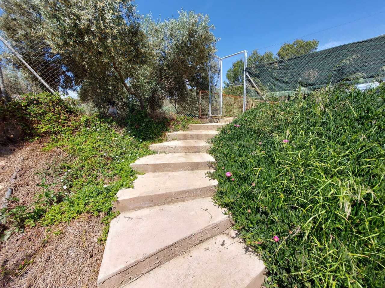 Commercial Property en venta en Calasparra