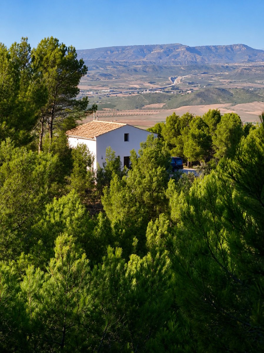 Commercial Property for sale in Villena, Alicante, Spain
