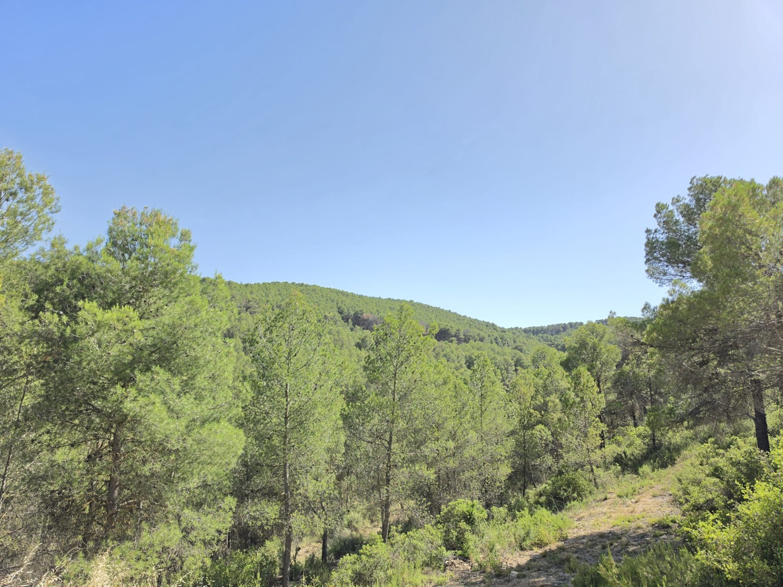 Commercial Property for sale in Villena, Alicante, Spain