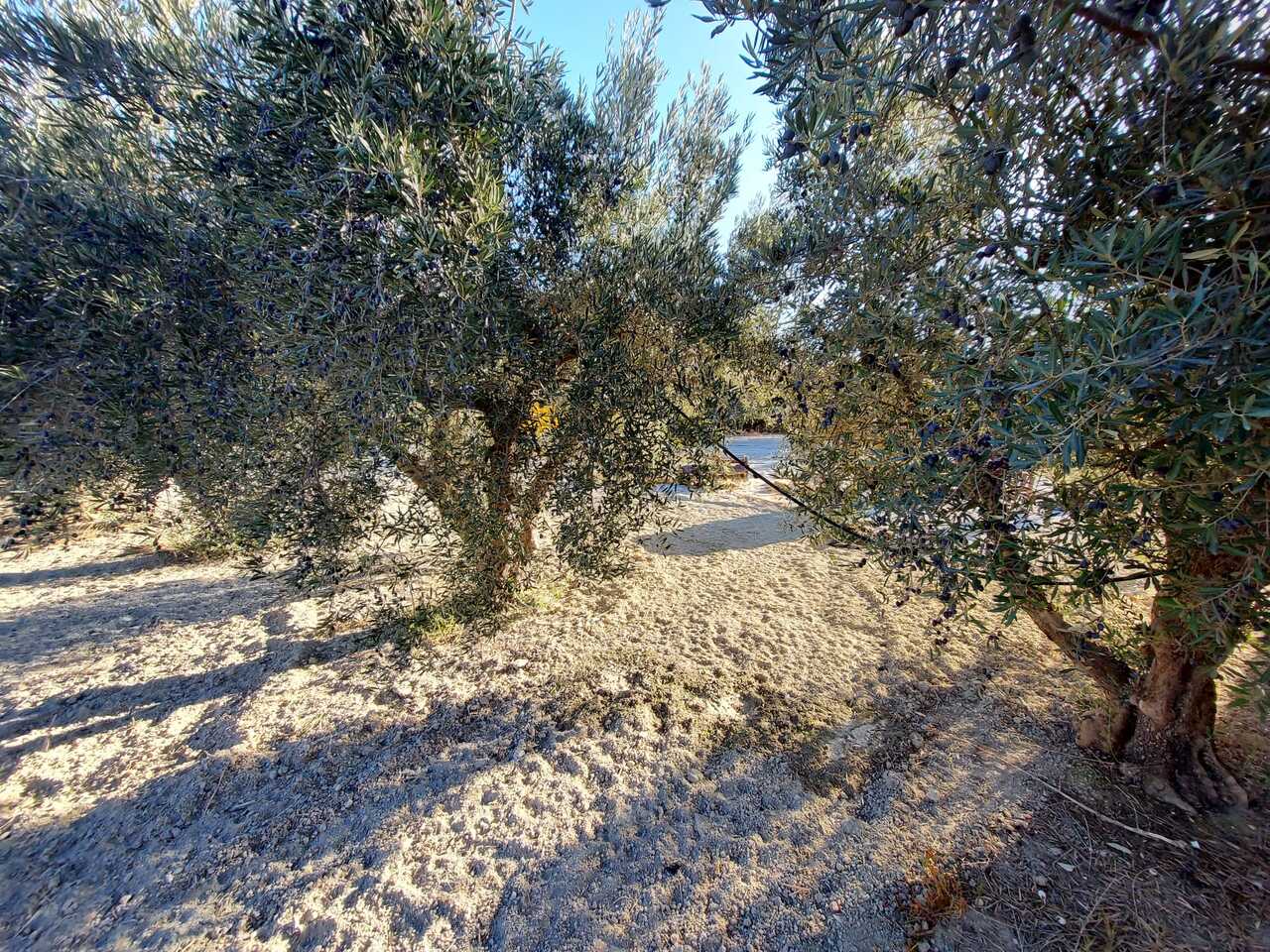 Villa for sale in Calasparra, Murcia, Spain