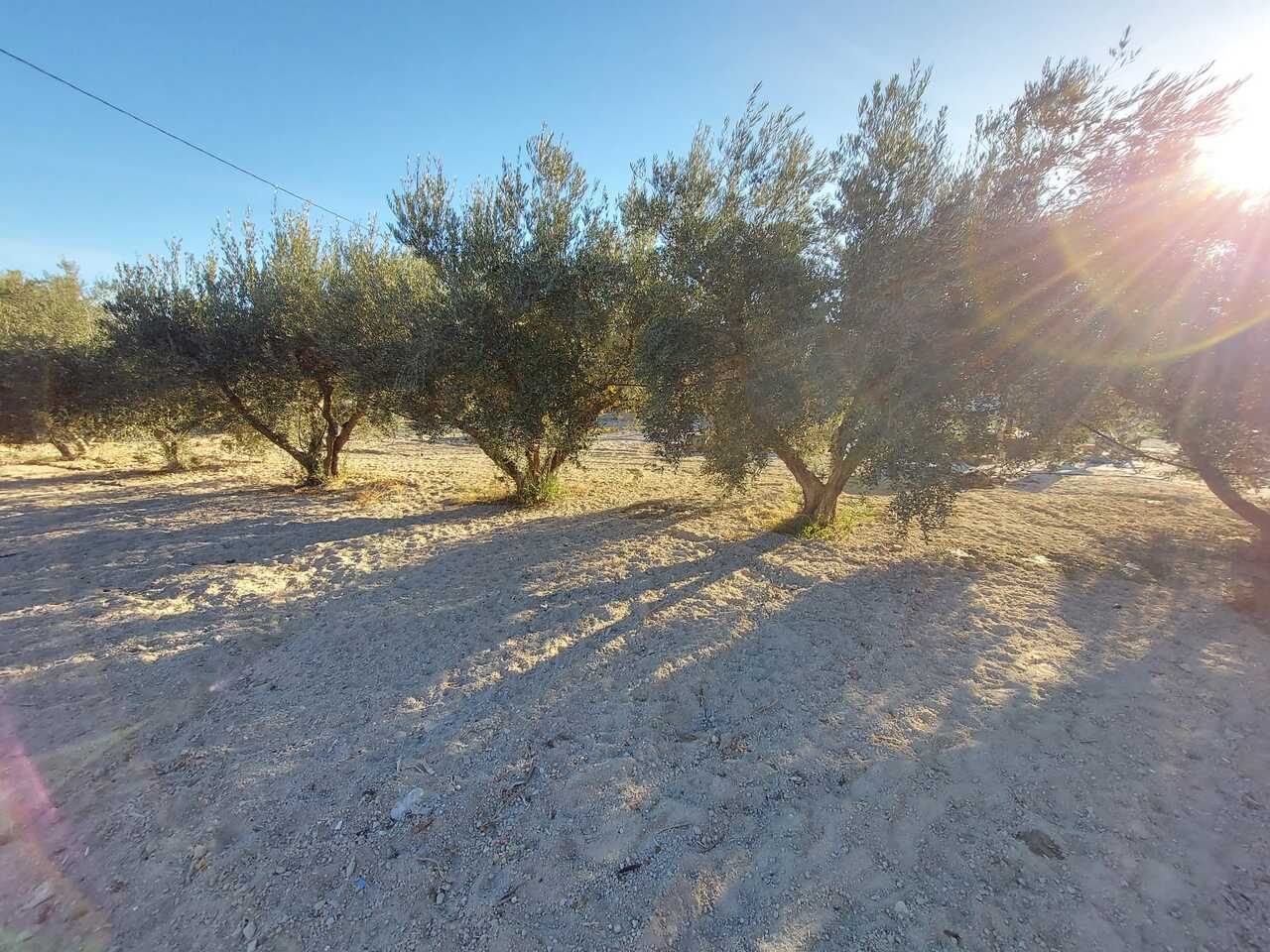 Villa for sale in Calasparra, Murcia, Spain