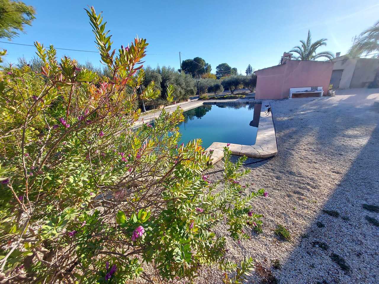 Villa for sale in Calasparra, Murcia, Spain