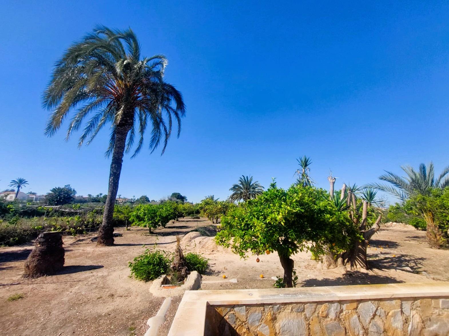 Finca for sale in La Marina, Alicante, Spain