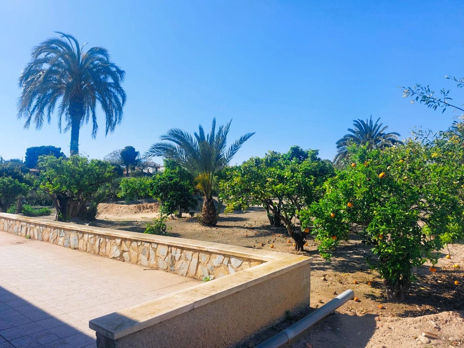 Finca for sale in La Marina, Alicante, Spain
