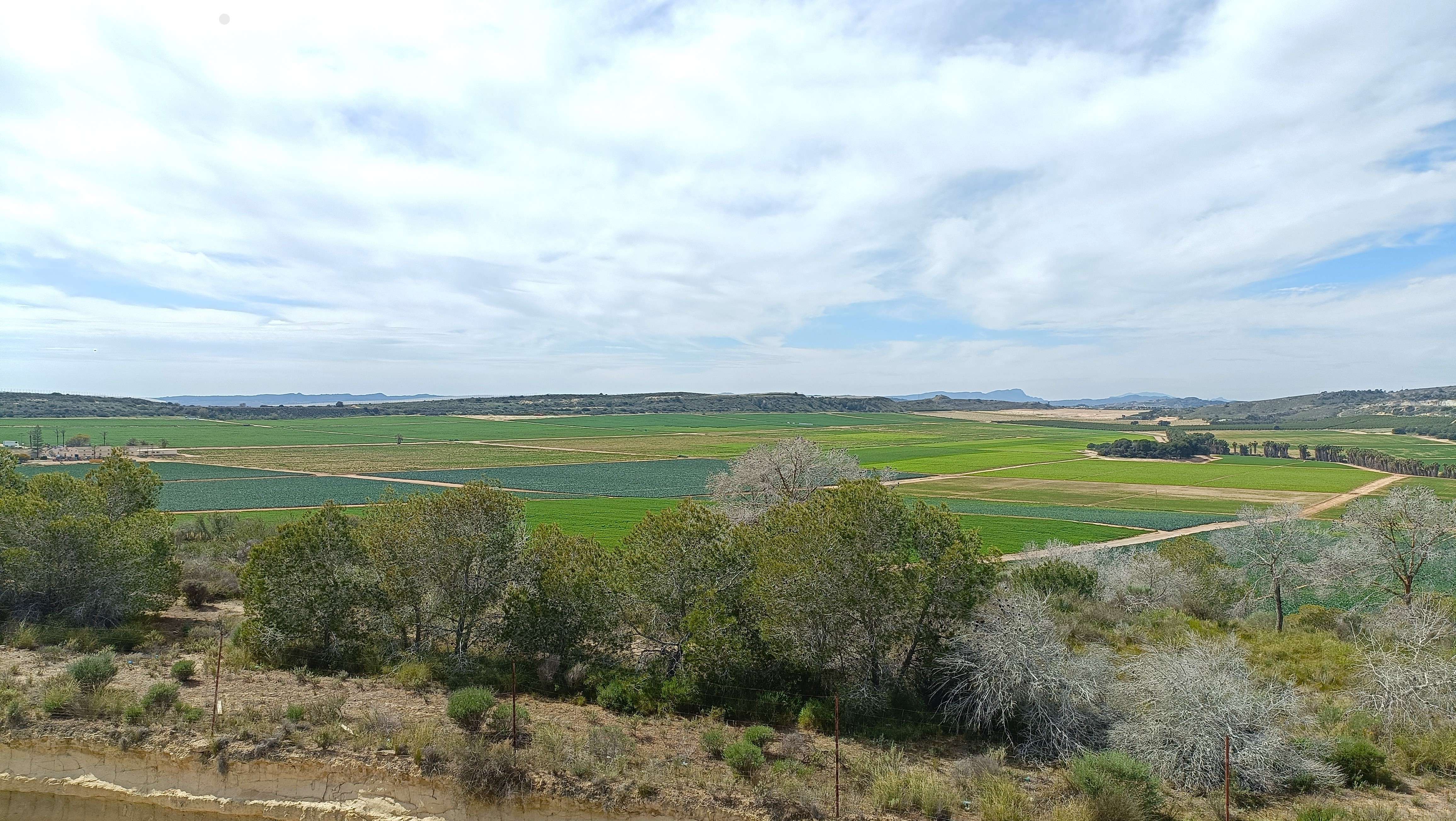 Villa en venta en Algorfa