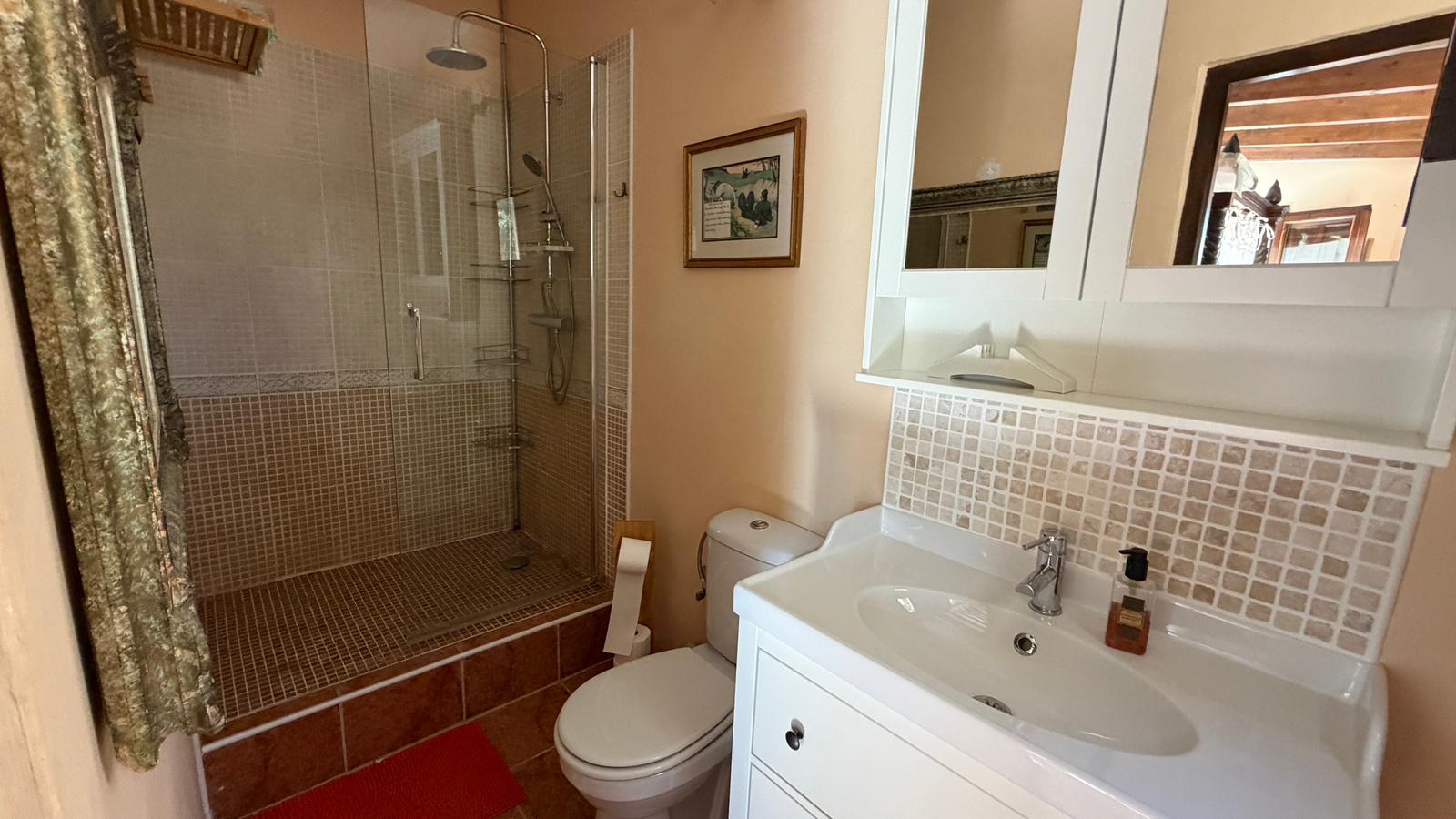 Commercial Property for sale in La Romana, Alicante, Spain
