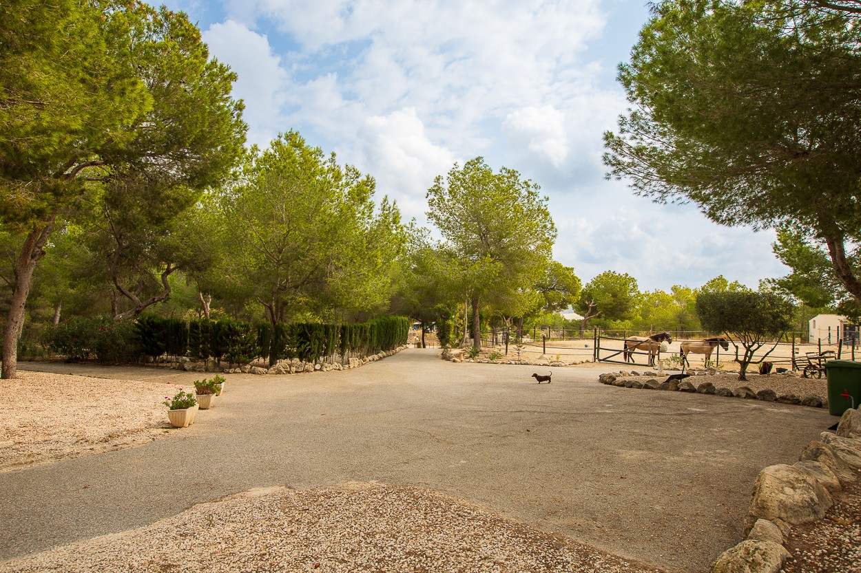 Casa de Campo en venta en Torremendo