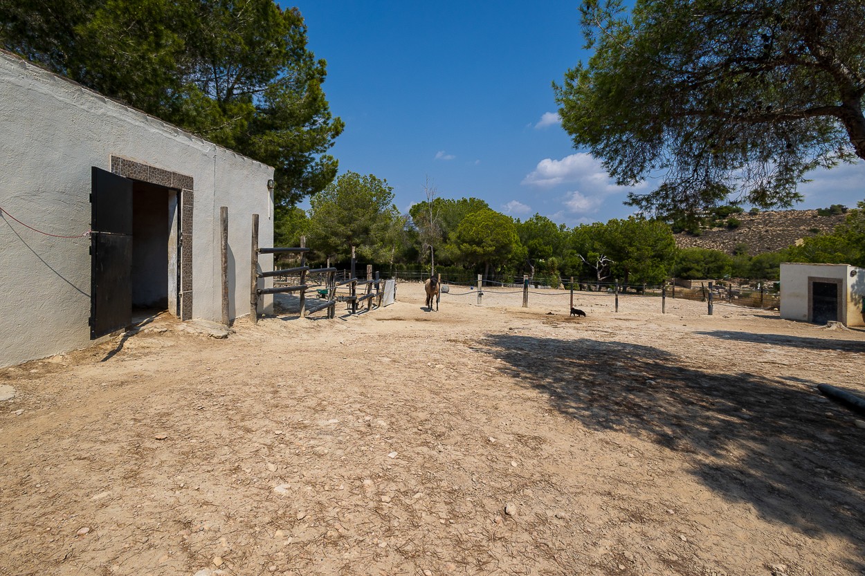 Casa de Campo en venta en Torremendo