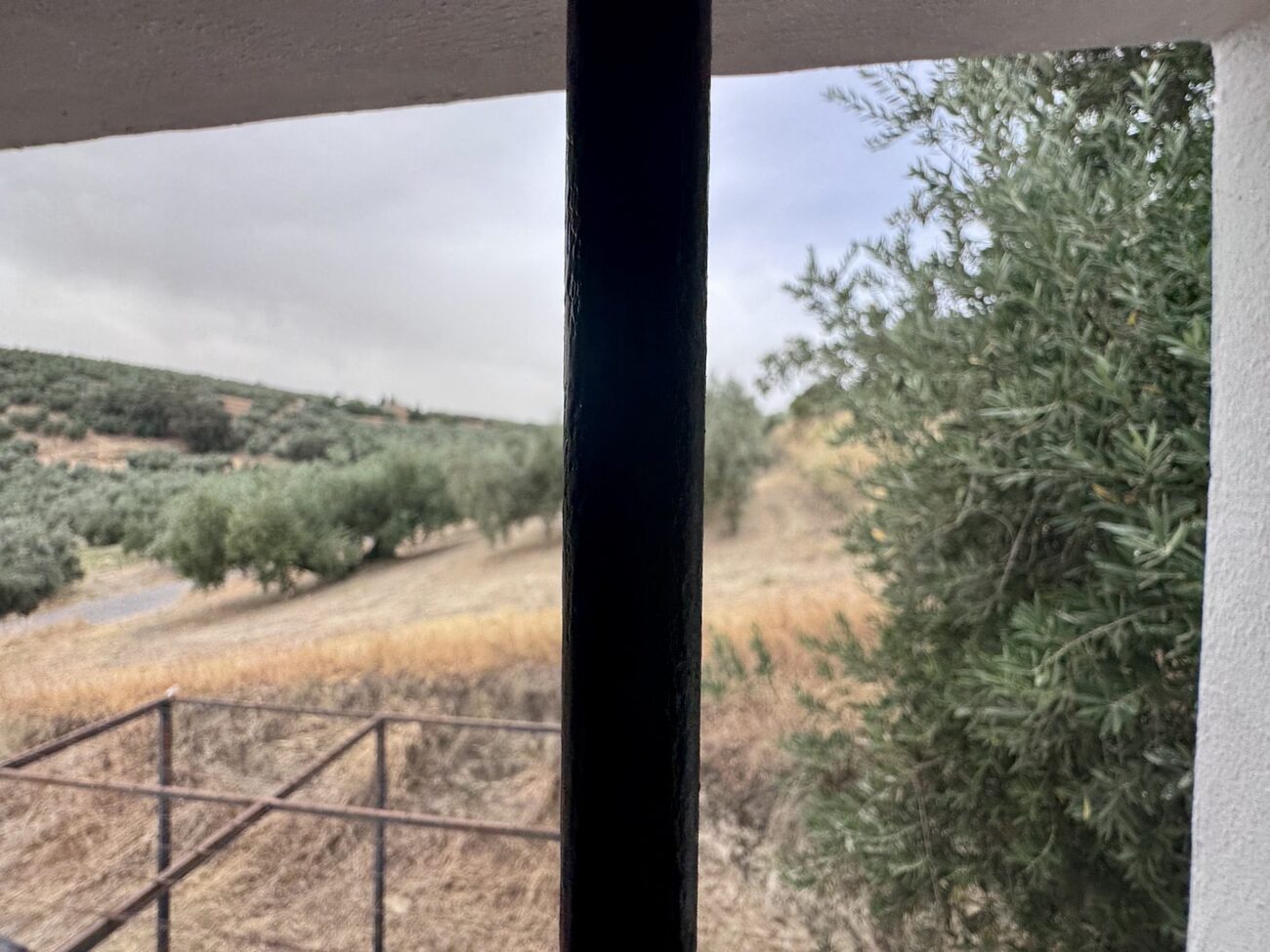 Finca Penthouse for sale in Algarinejo, Granada, Spain