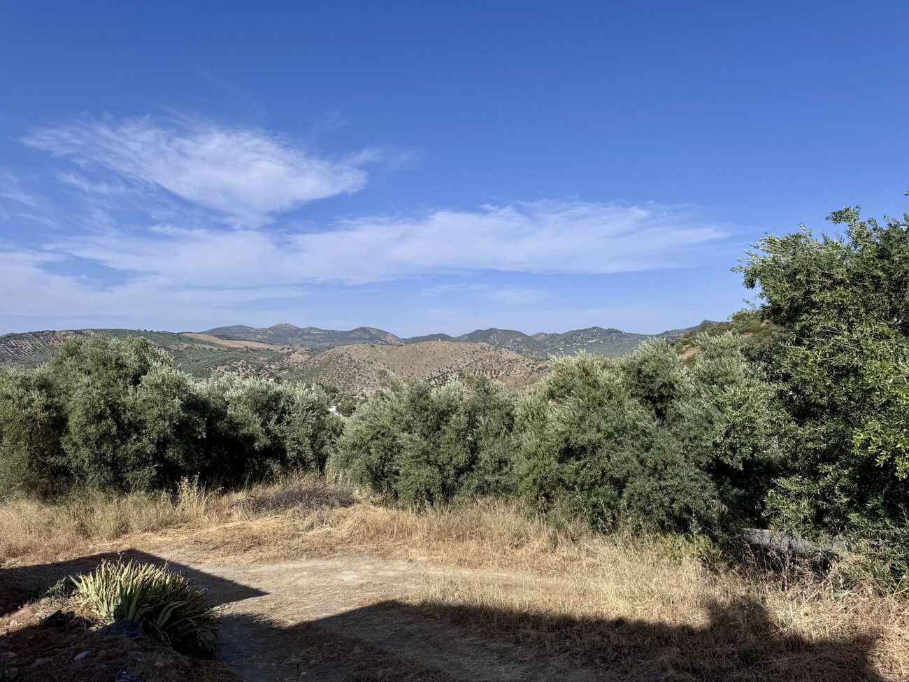 Finca Penthouse for sale in Algarinejo, Granada, Spain