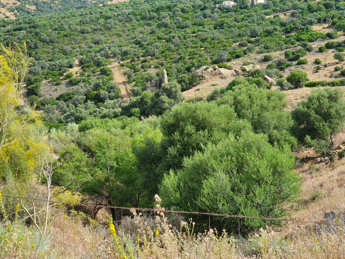 Finca for sale in Casares Pueblo, Málaga, Spain