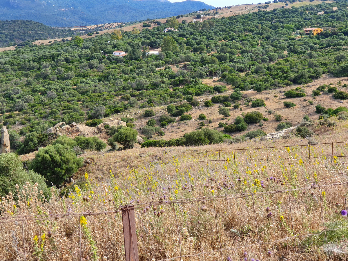 Finca for sale in Casares Pueblo, Málaga, Spain