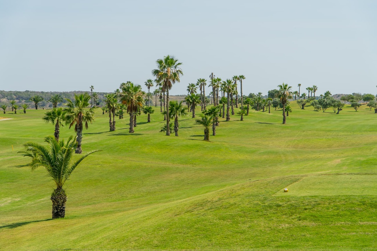Apartment for sale in Vistabella Golf Entre Naranjos, Alicante, Spain