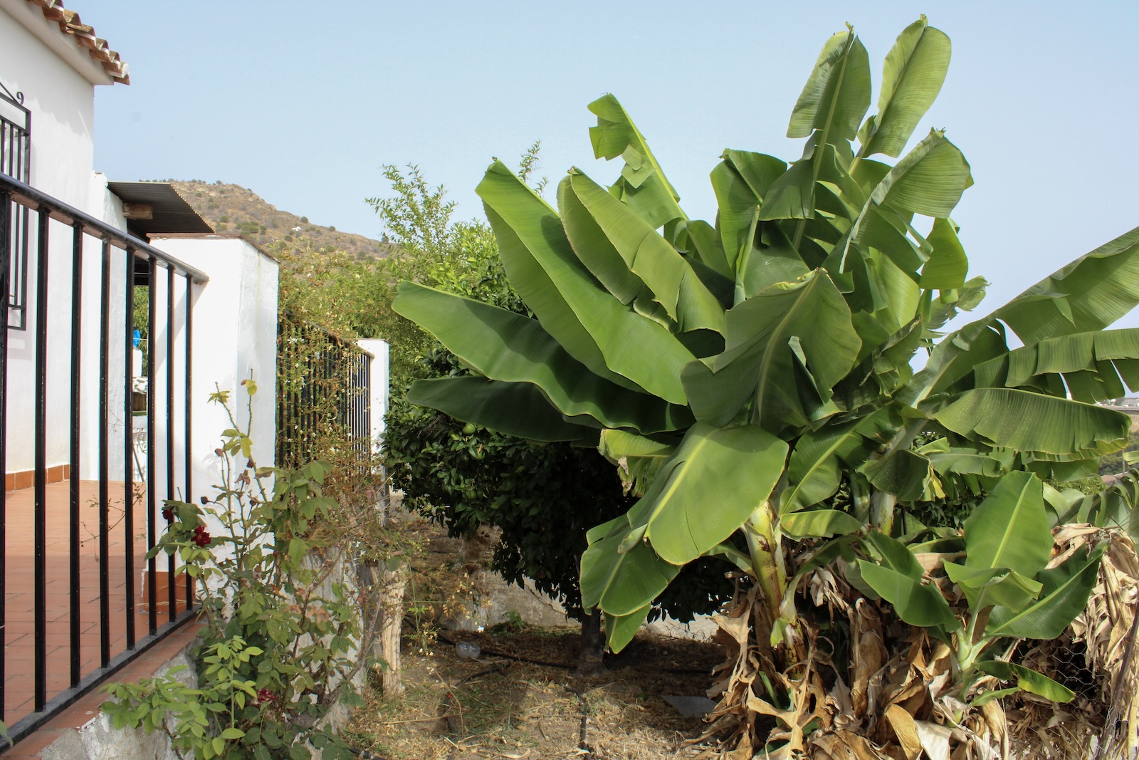 Villa en venta en Nerja
