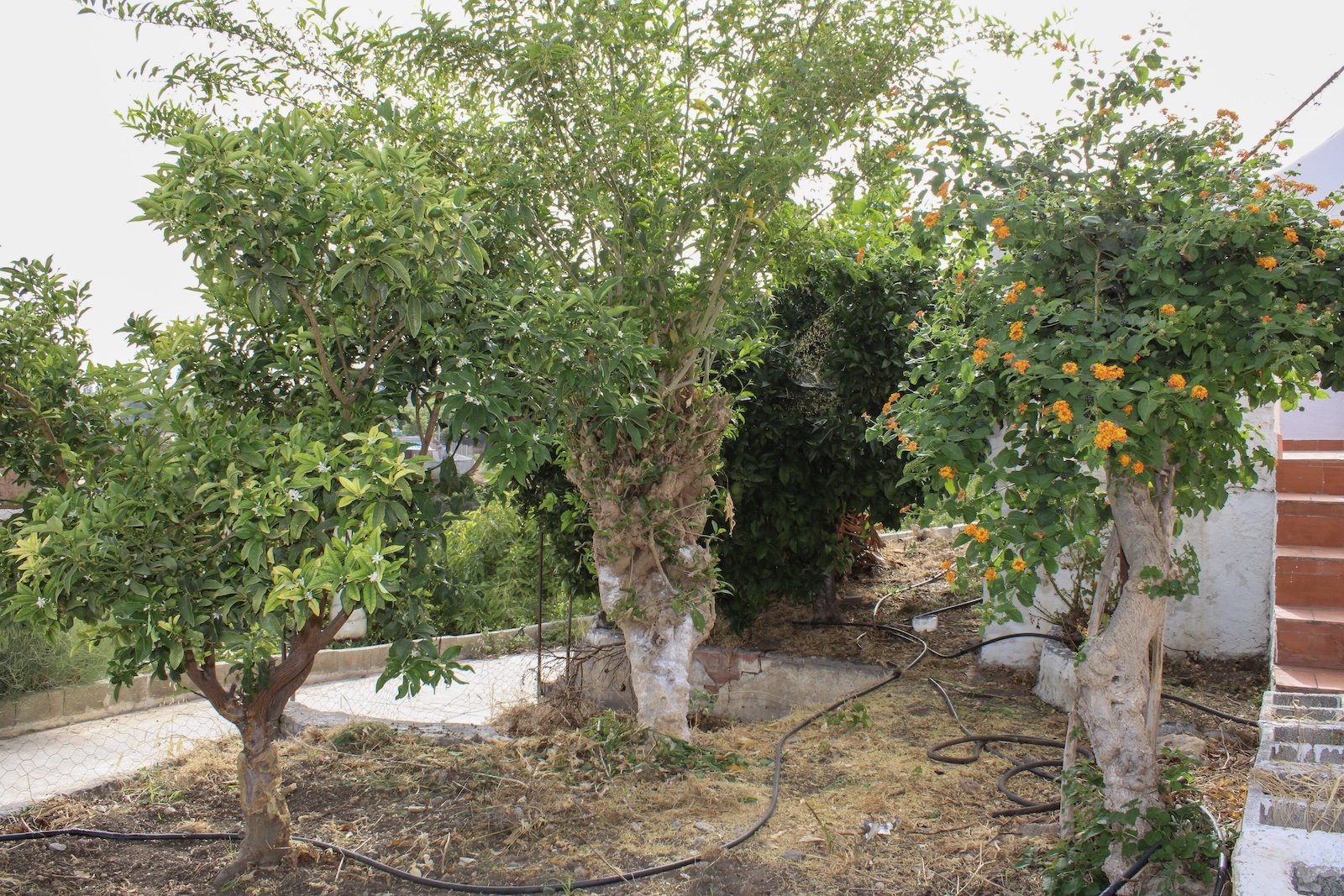 Villa en venta en Nerja