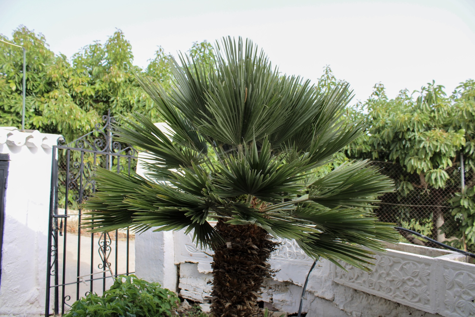 Villa en venta en Nerja