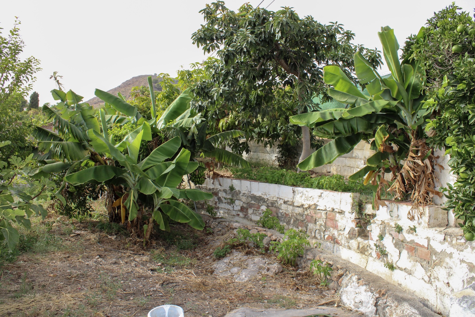 Villa en venta en Nerja