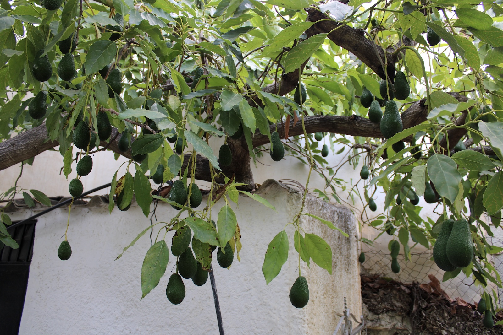 Villa en venta en Nerja
