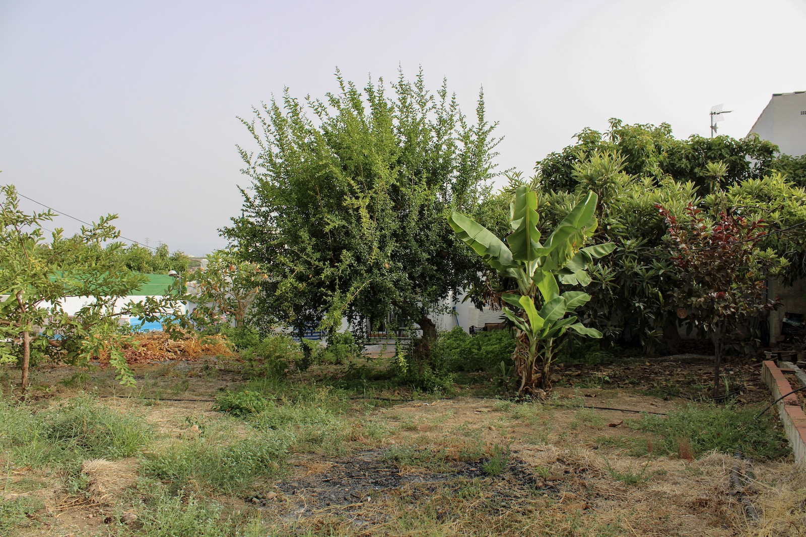 Villa en venta en Nerja