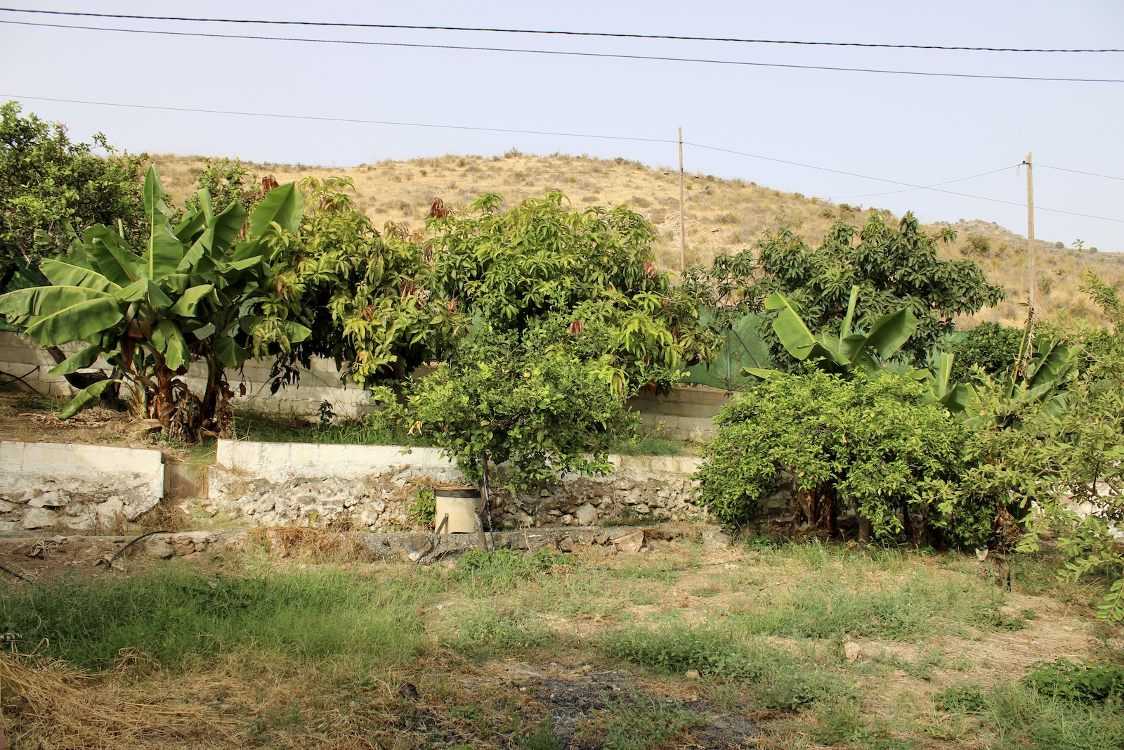 Villa en venta en Nerja